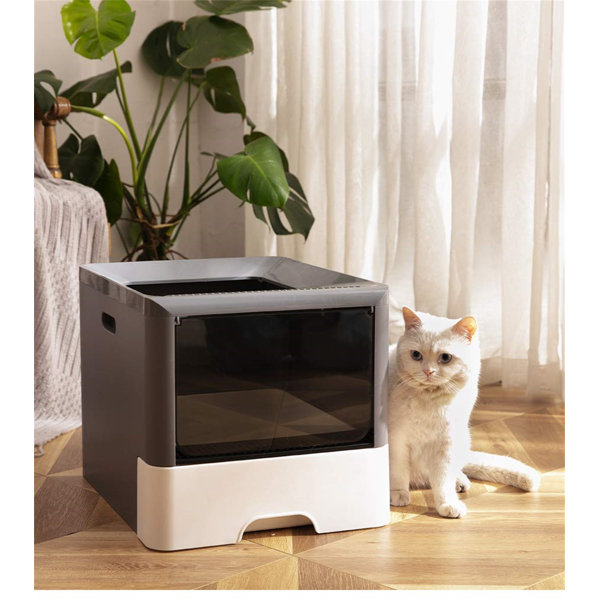 Archie & Oscar Marquez Standard Litter Box Wayfair.co.uk